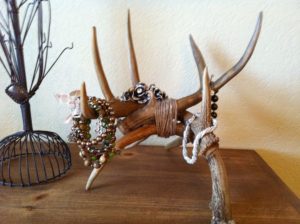 deer antler jewelry holder