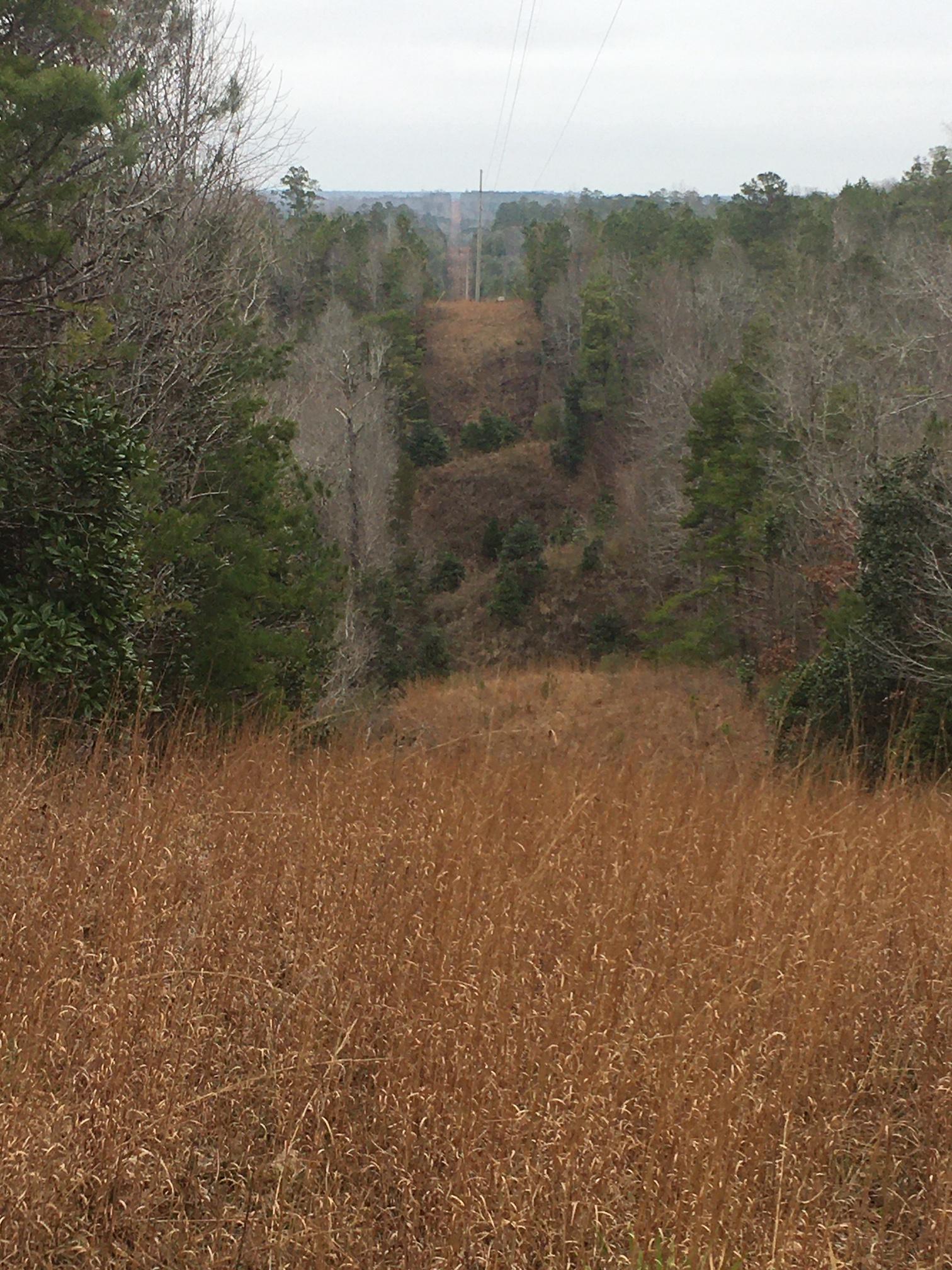 Land In Alabama & Land In Timber Investment Property Near