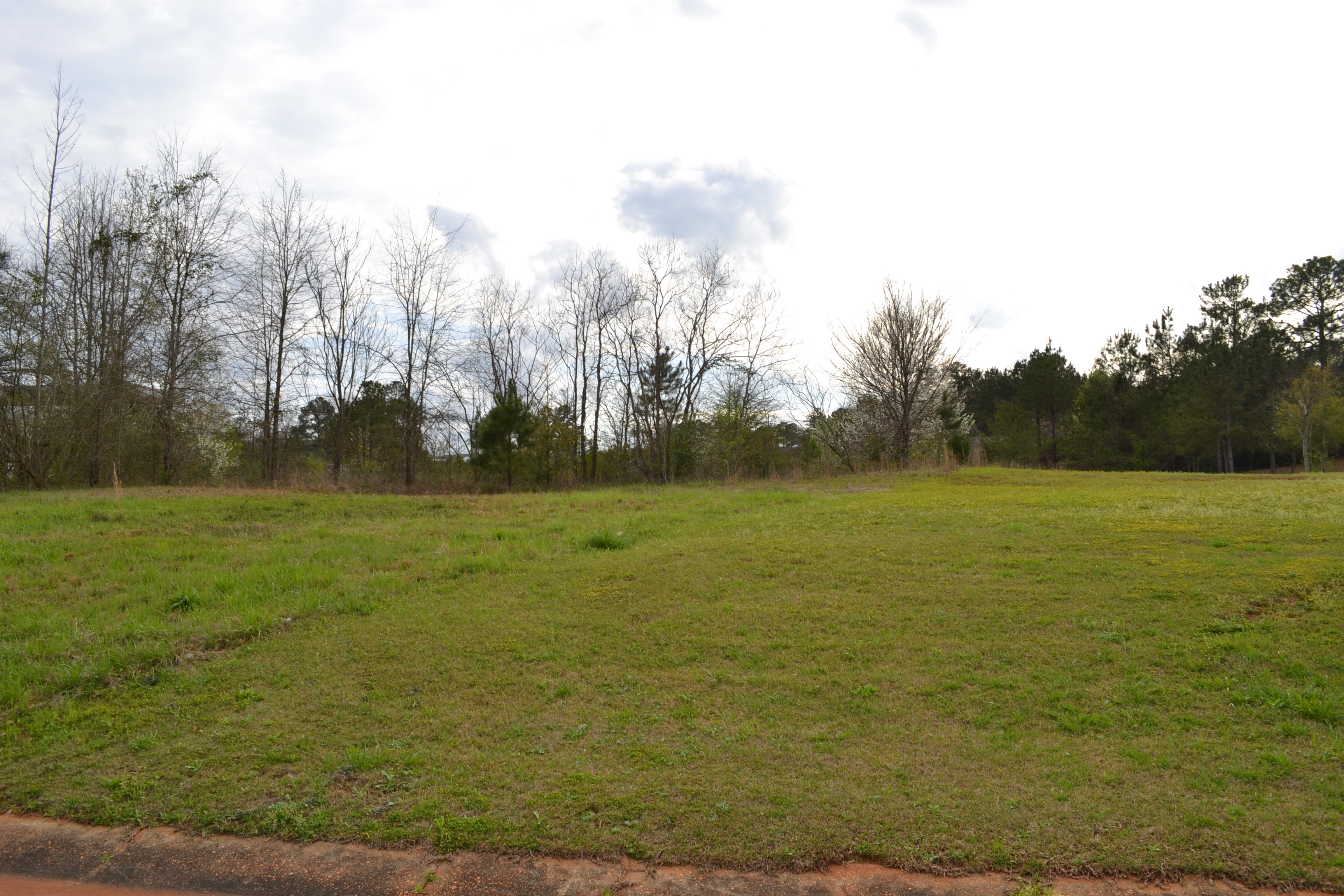 Land In Alabama & Land In Commercial Land Ready to Build on