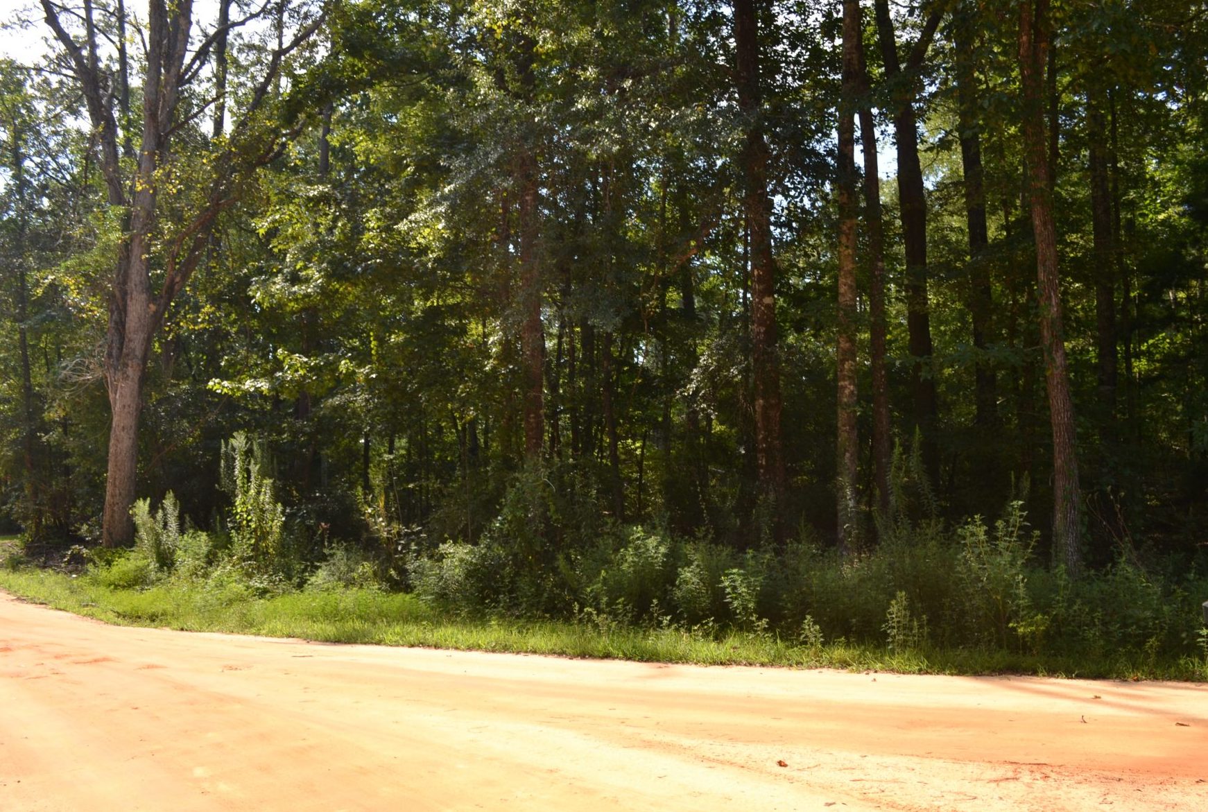 Land In Alabama & Land In Lot/Land Available On Magnolia