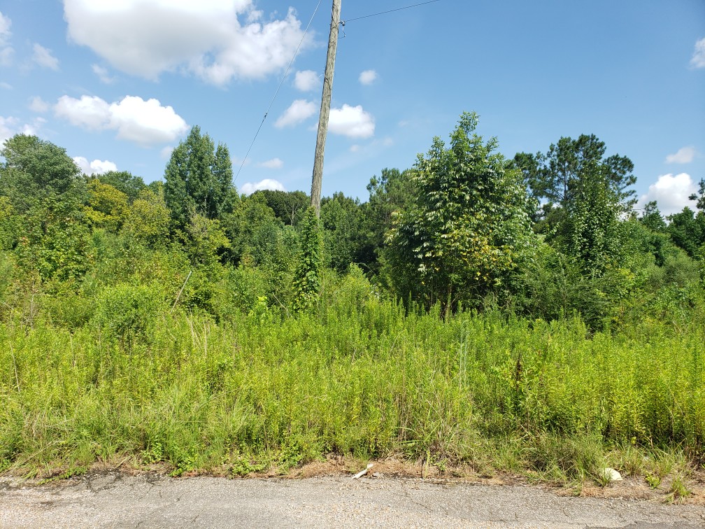 Land In Alabama & Land In Georgia | Bobwhite Lane Lot B Located in ...