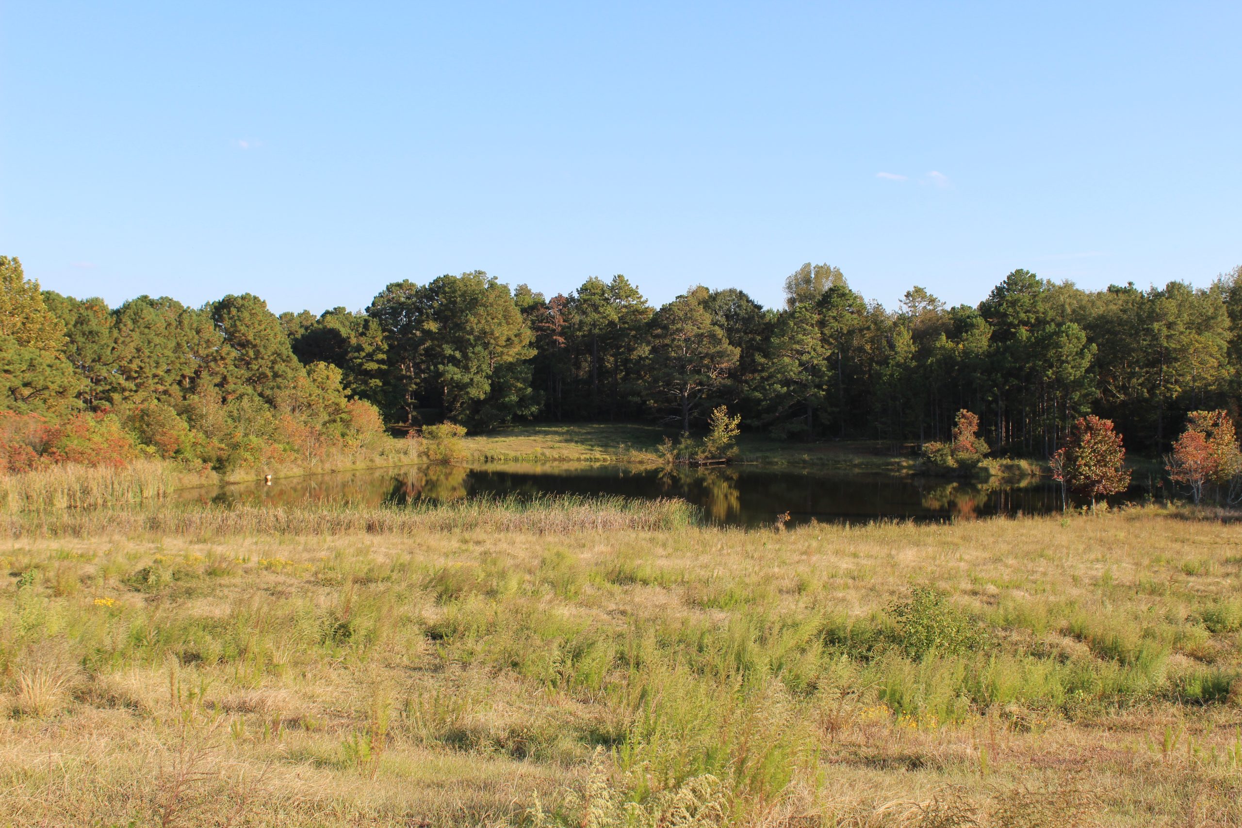 Land In Alabama & Land In Georgia | Prime Pasture land in Fort Deposit ...